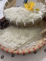 ST25 Rice High Quality in Viet Nam Exporter Specialty 100% Organic Long Grain ST25 Best of Rice - Image 2